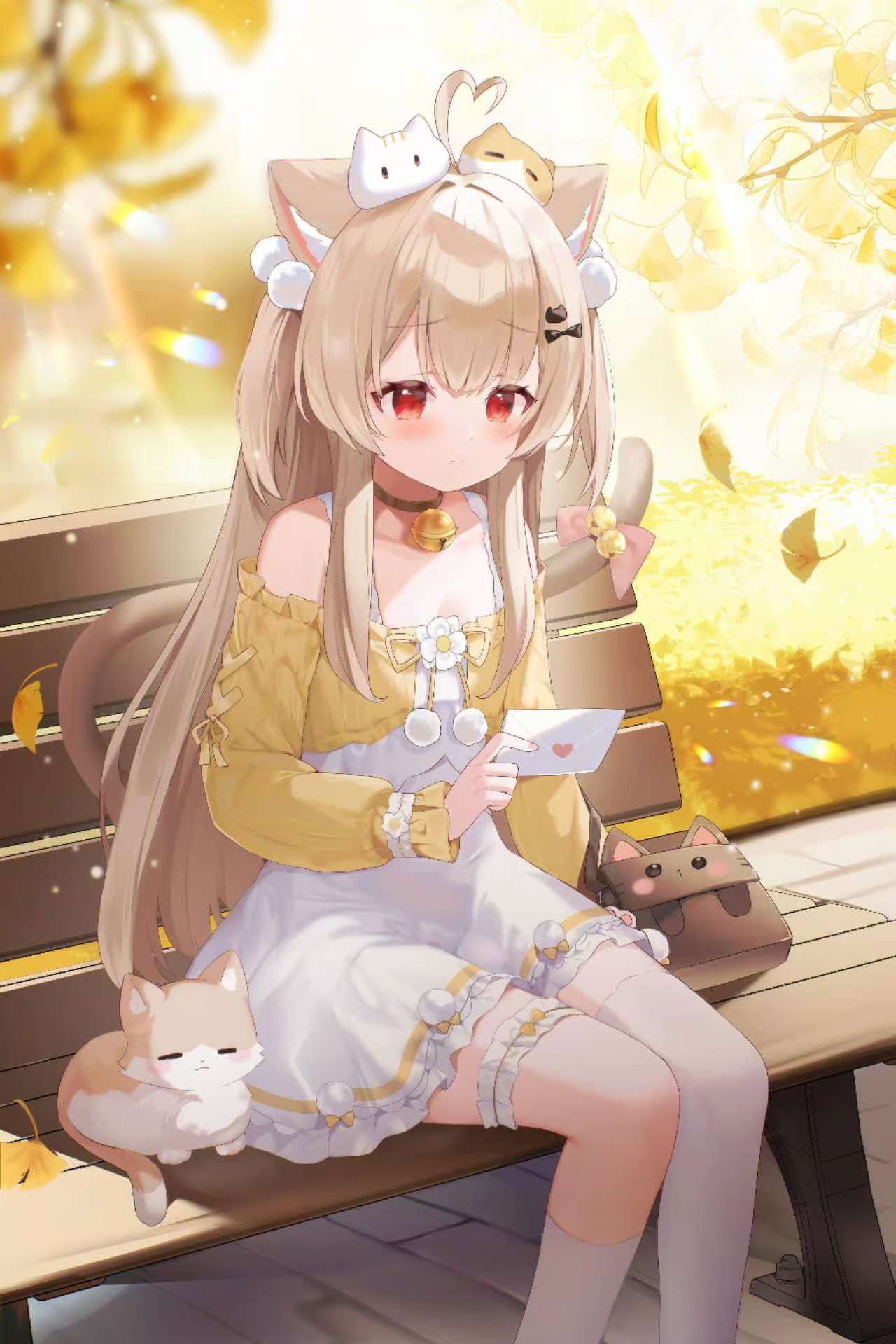 照片1
